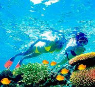 澳大利亚大堡礁游记