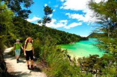 自然新西兰的自由之旅