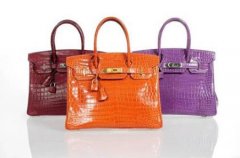 ִ֮Birkin