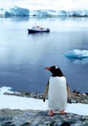 南极：深寒极限中的奇幻景观