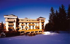 全球奢华滑雪的首选之地-阿尔卑斯山谷LE MELEZIN度假酒店