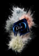 DIOR 2006Ʒ