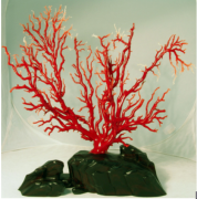 雯莉天然珊瑚树 夺目2011国际珠宝展